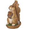 Accent Plus Solar-Powered Light-Up Squirrel Statue