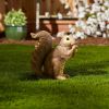 Accent Plus Nibbling Squirrel Garden Statue