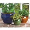 Accent Plus Embossed Jewel Tone Ceramic Planter Set