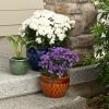 Accent Plus Embossed Jewel Tone Ceramic Planter Set