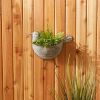 Accent Plus Galvanized Metal Wall Planter - Bird