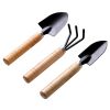 3pcs Mini Garden Shovel Rake Spade Erramientas Bonsai Tools Set Wooden Handle for Flowers Potted Plant Garden Tools - Mini Garden Shovel