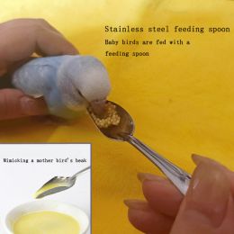 Bird Feeder; Parrot Feeder Baby Bird Feeding Hose Parrot Feeding Spoon Measuring Cup - Feeding Spoon