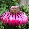 Cone Flower Bird Feeder Outdoor Garden Art Metal Bird Feeder Bring Support - red