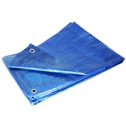 Blue 12 x 20 Tarp